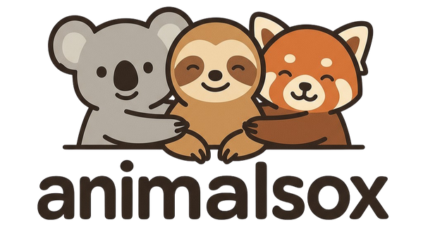 Logo of animalsox with a koala, sloth, and red panda on a white background